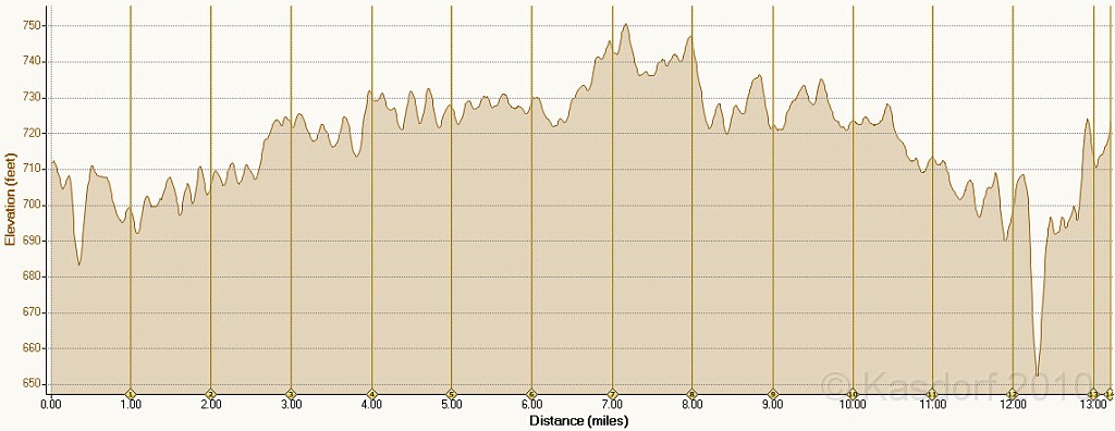 Indy Mini-Marathon 2010-05-08 Summary 2.jpg - Interesting altitude map of course. I finally figured out the big dip just past mile 12. That is the bridge over the river... but the bridge goes UP over the river. Garmins often show a difference of actual vs plotted.... it must have me running down on the water under the bridge!